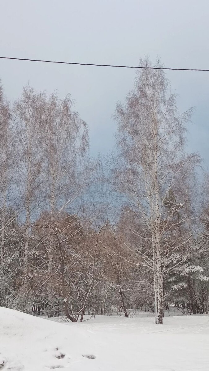 Перед первым дождем