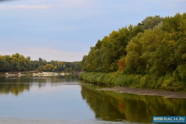 Житель Серафимовича награжден за спасение тонувшего ребенка: счет шел на секунды