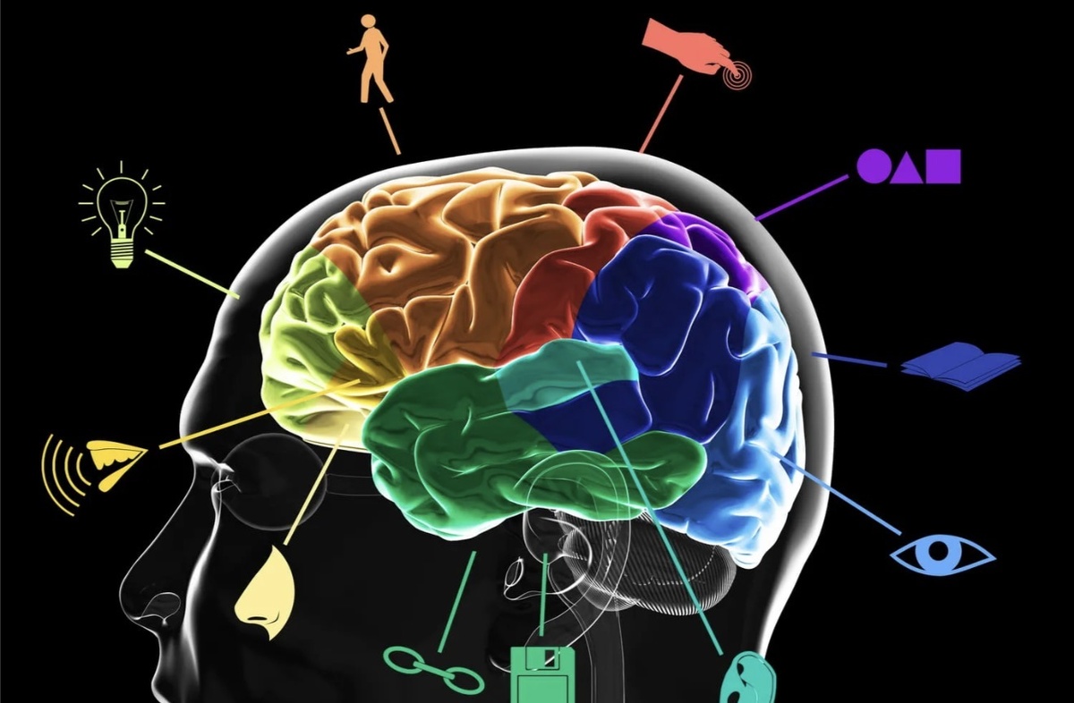 Картинка из открытых источников