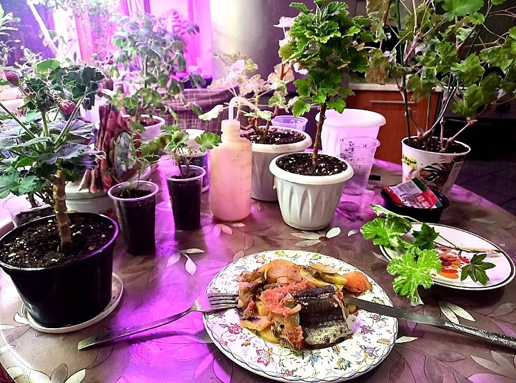 Мой перекус, так сказать, на ходу...