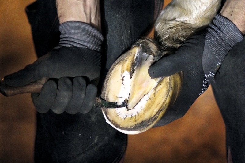 Нелёгок и опасен труд коваля! Фото из открытых источников.