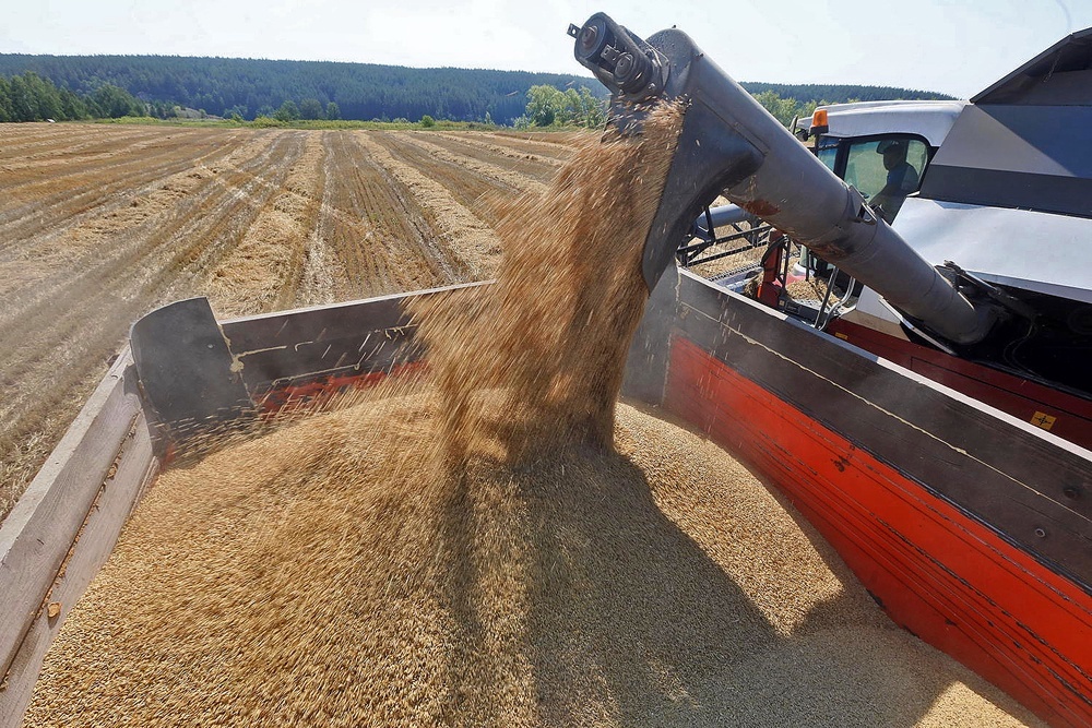    Зерно и продукты его переработки стали одной из важнейших статей курганского экспорта. / Татьяна Андреева/РГ
