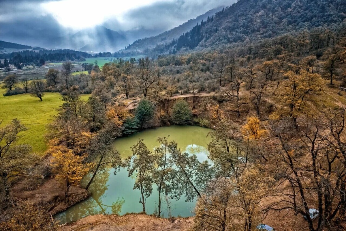 «Гирканский лес»