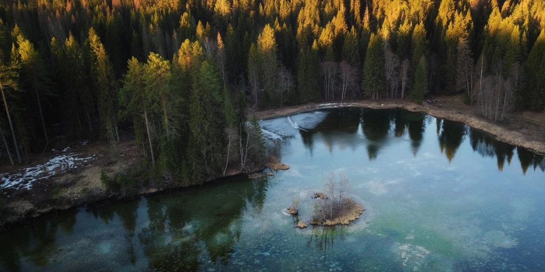 Прозрачная красота лесного озера