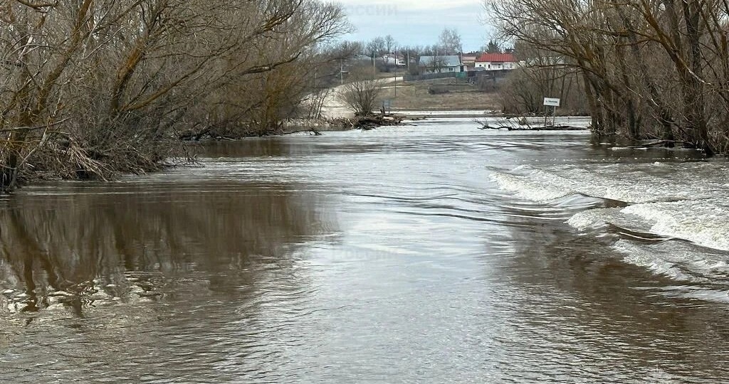 Ока поднялась на 37 сантиметров за сутки в черте Рязани