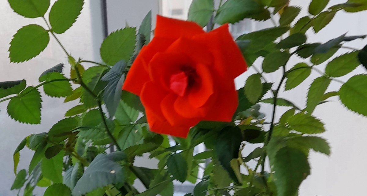 Фото автора канала