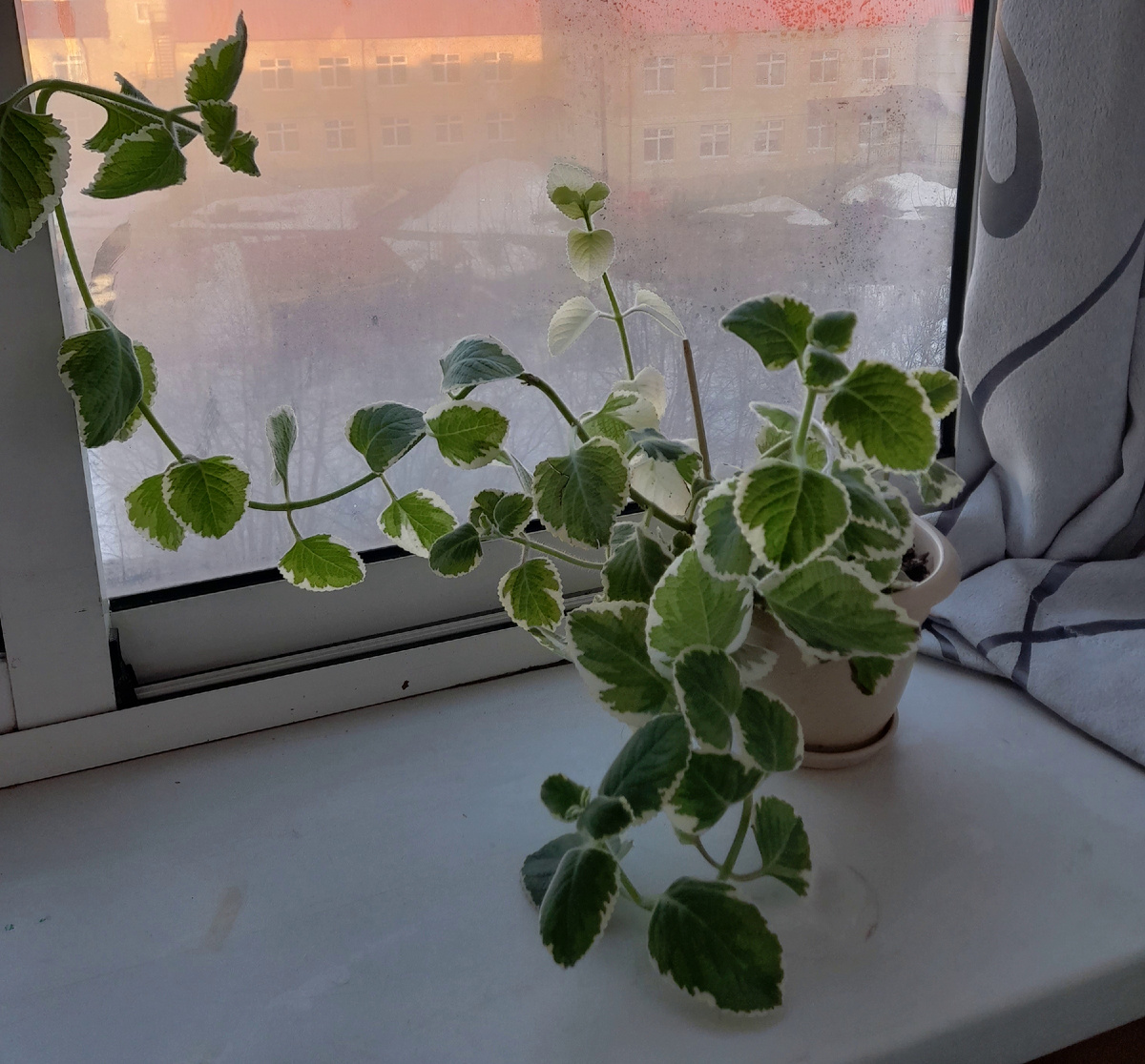 Фото автора канала