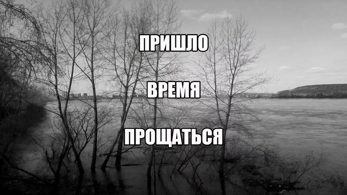 Фото из открытых источников интернета 