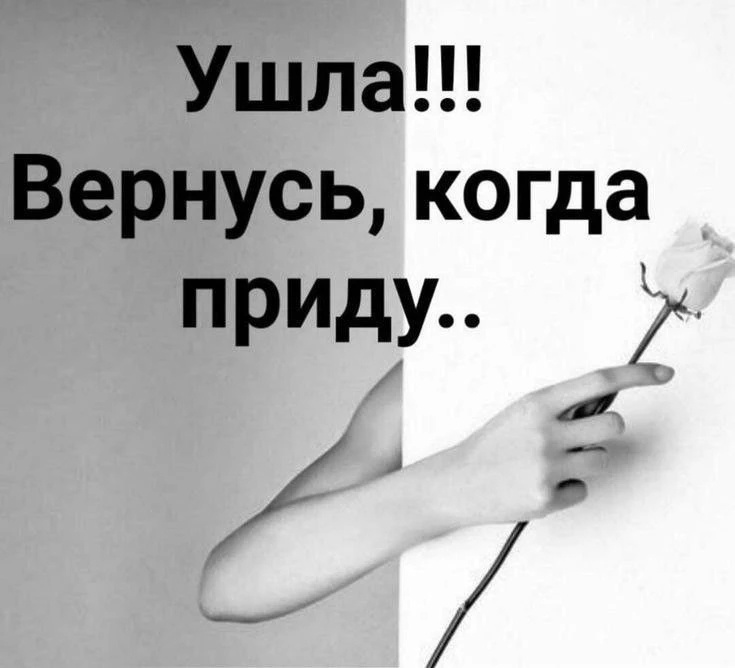 Фото из открытых источников интернета 