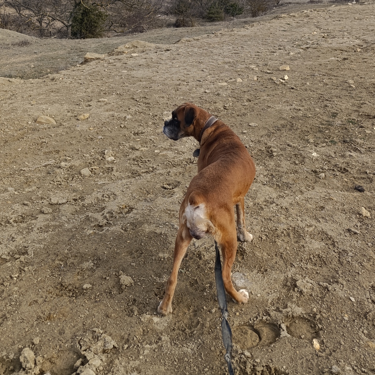 Я все сказала!