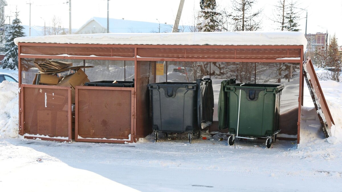    Фото: Андрей Ткачев/«Ямал-Медиа»