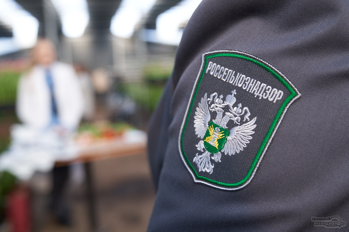    Фото: Лидия Аникина © ИА «Уральский меридиан»