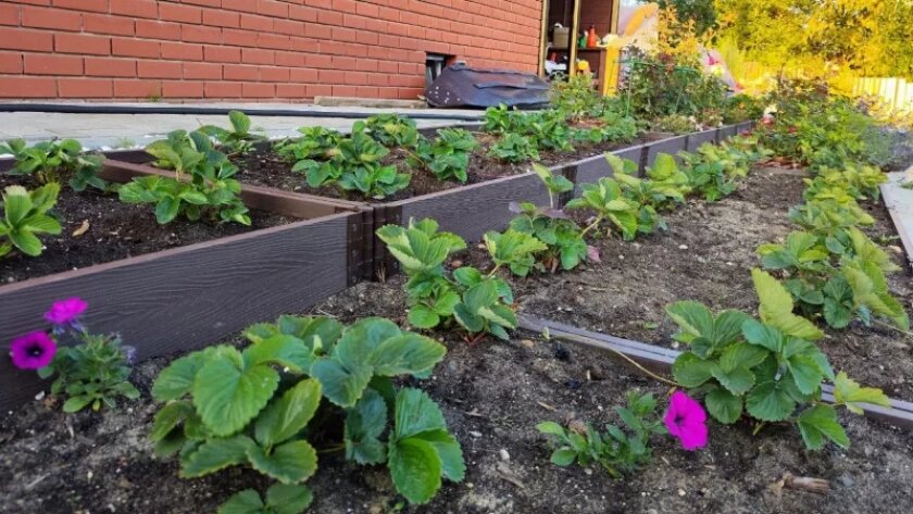    Фото usolie.info