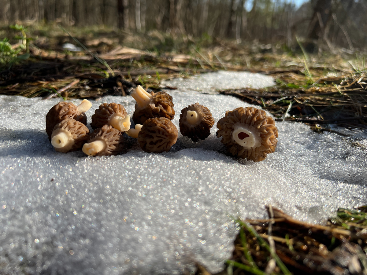 Фото автора. Архив.