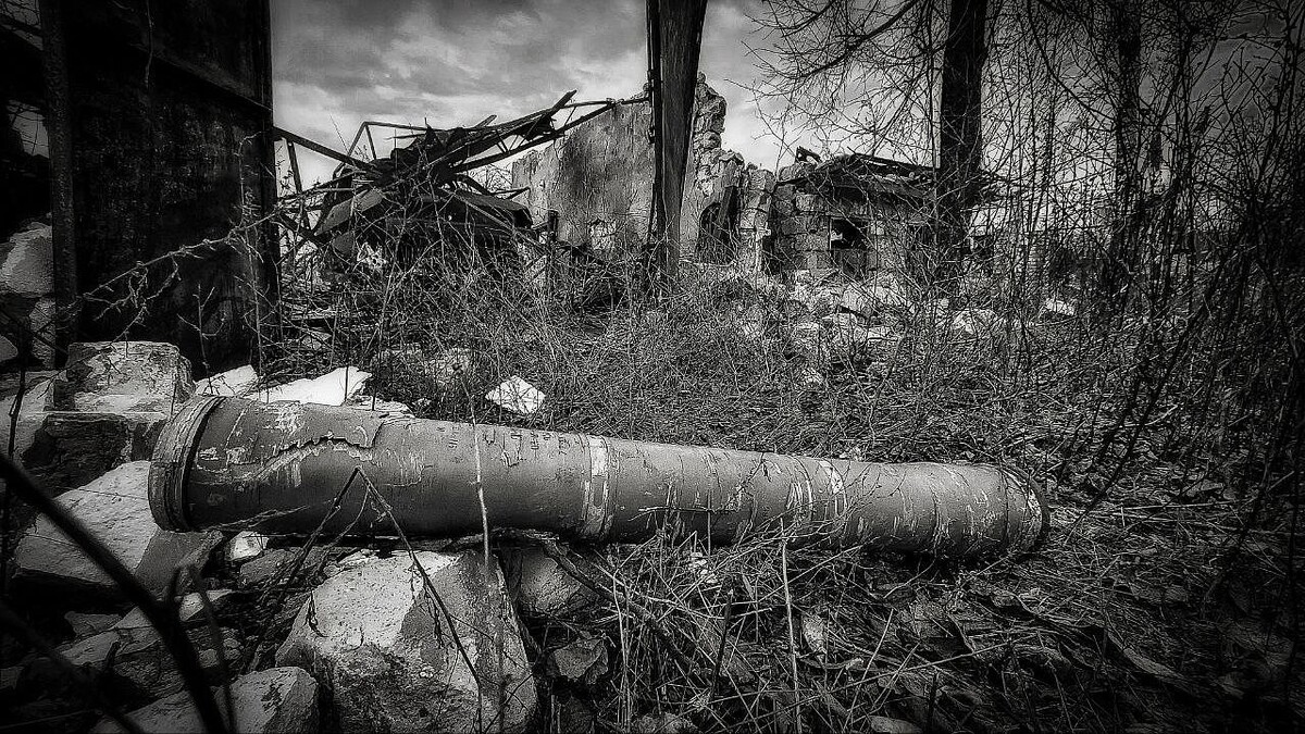    Фото: телеканал «Краснодар»