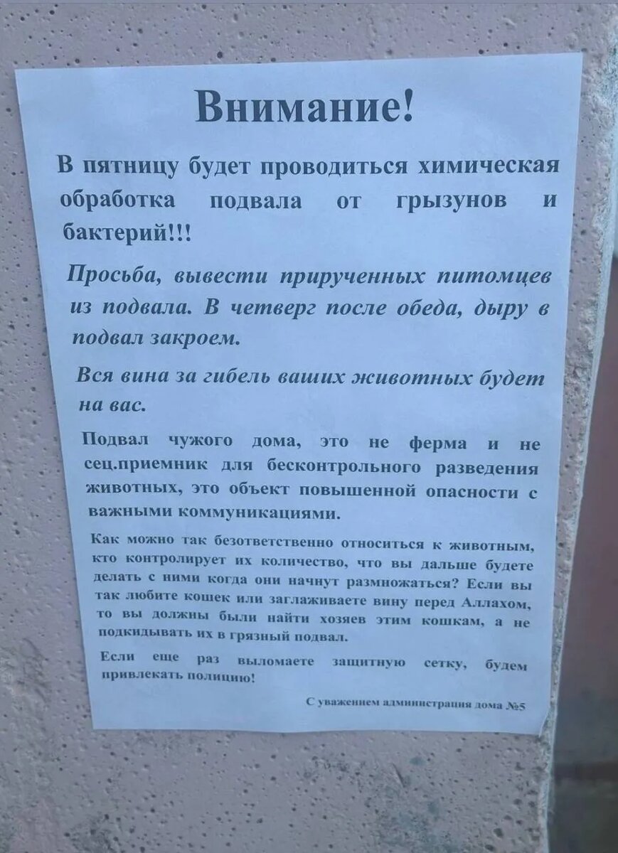    Фото: "Казань на Максималках"