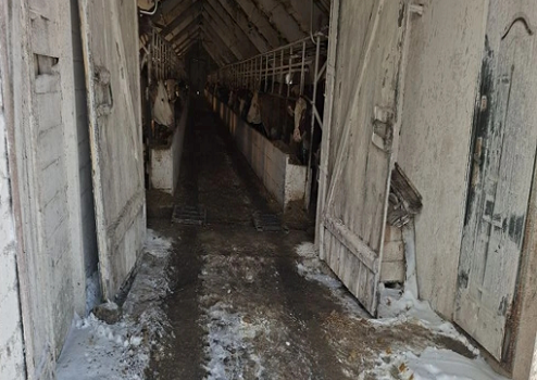    Фото: 57.fsvps.gov.ru