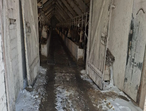    Фото: 57.fsvps.gov.ru