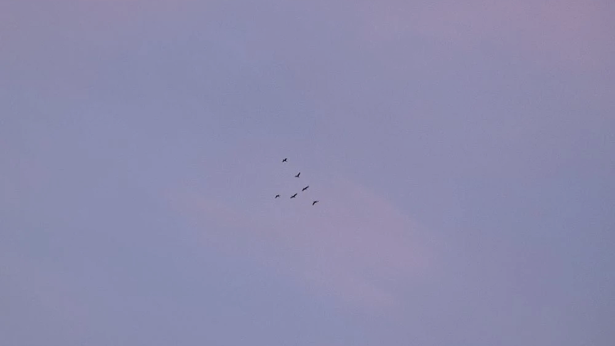    Фото: телеканал «Краснодар»