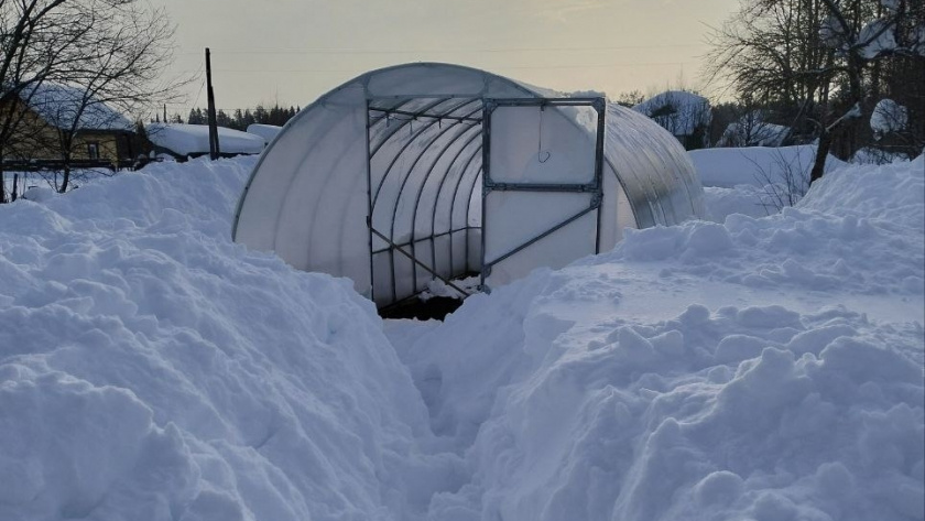 Не смейте брать лопату – погубите будущий урожай: как заставить снег таять в 3 раза быстрее без вреда для участка