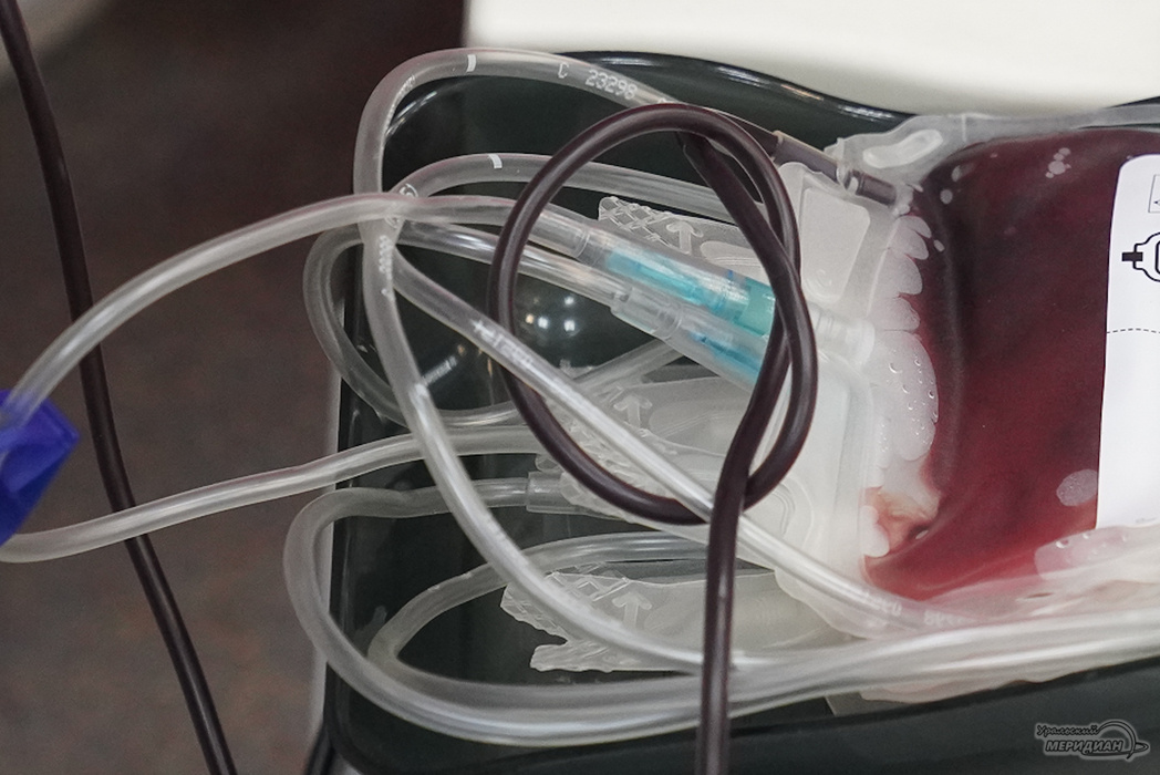    Фото: Лидия Аникина © ИА «Уральский меридиан»