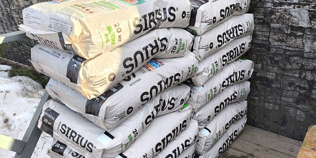 Новости за неделю.