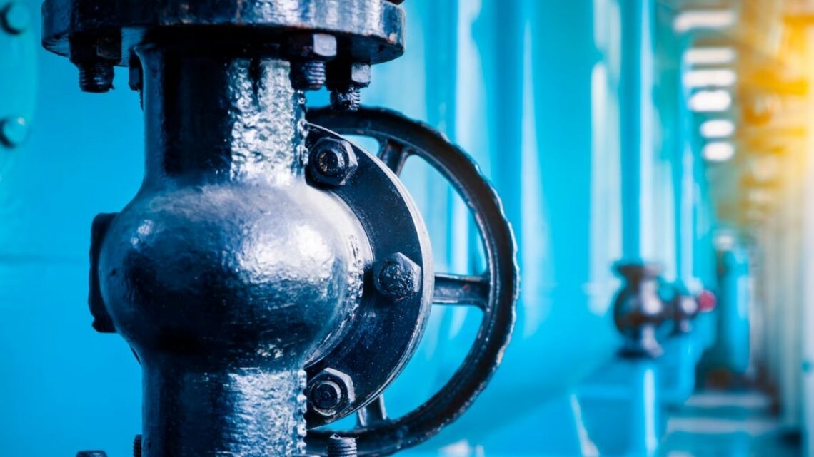    фото: fanjianhua / freepik.com