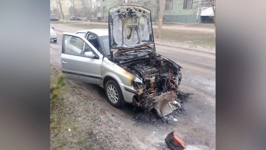    Автор фото: предоставлено отделом надзорной деятельности по Богучарскому району