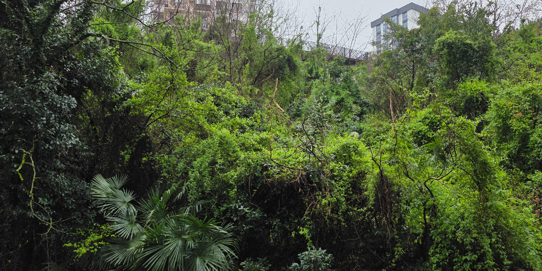 Чем заняться когда идет дождь?