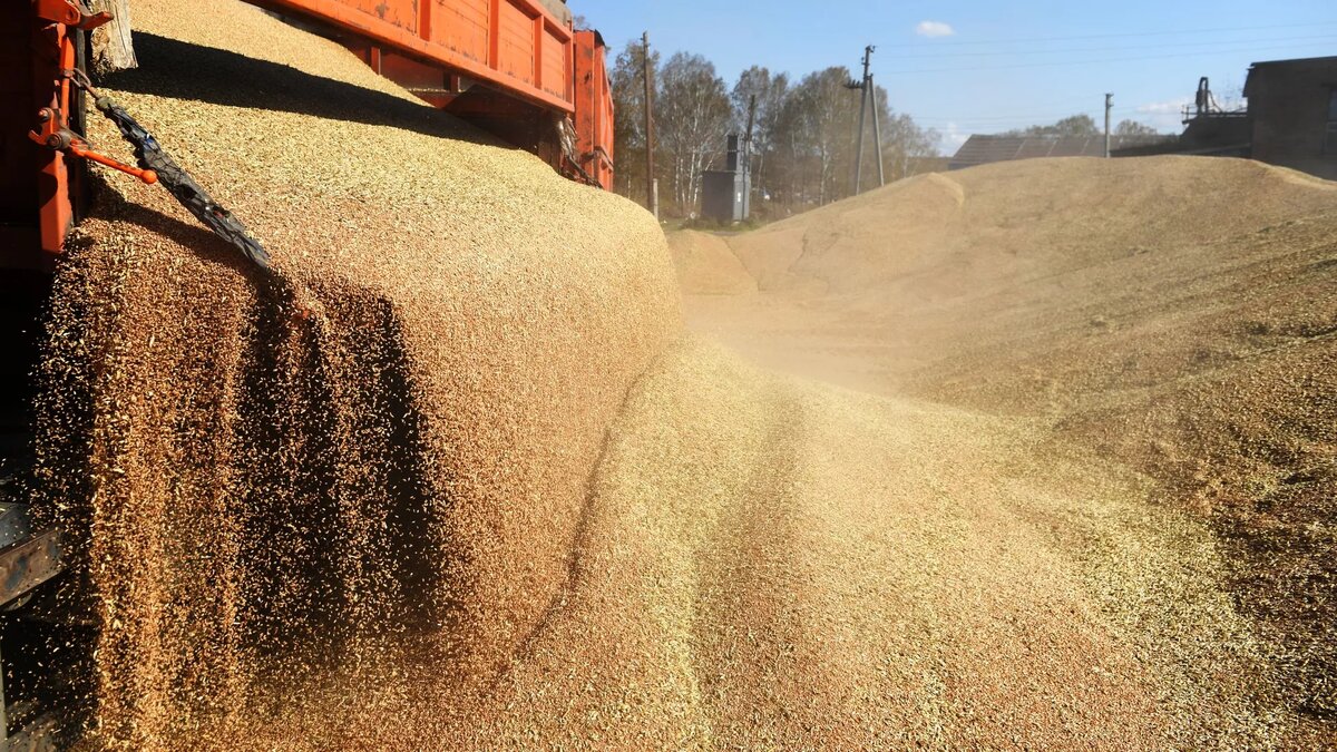 © Sputnik / Александр Кряжев