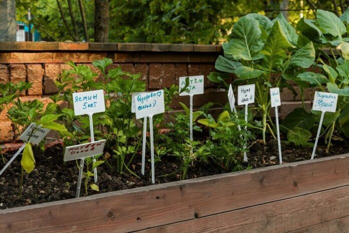    Новая реальность школьного образования: уроки выживания и практические навыки вместо цифровой грамотности.