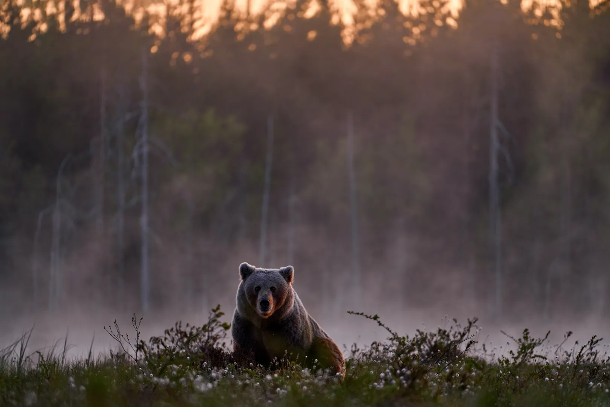 © Ondrej Prosicky/Shutterstock