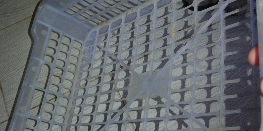 Дел себе в итоге нашла