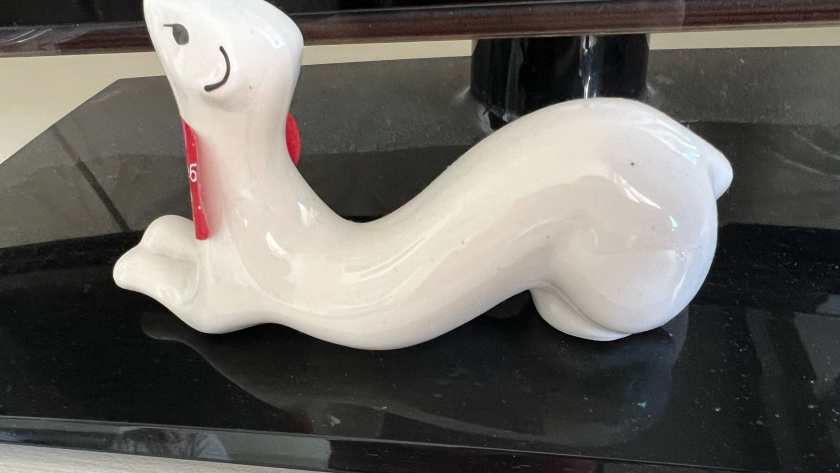    Фото автора