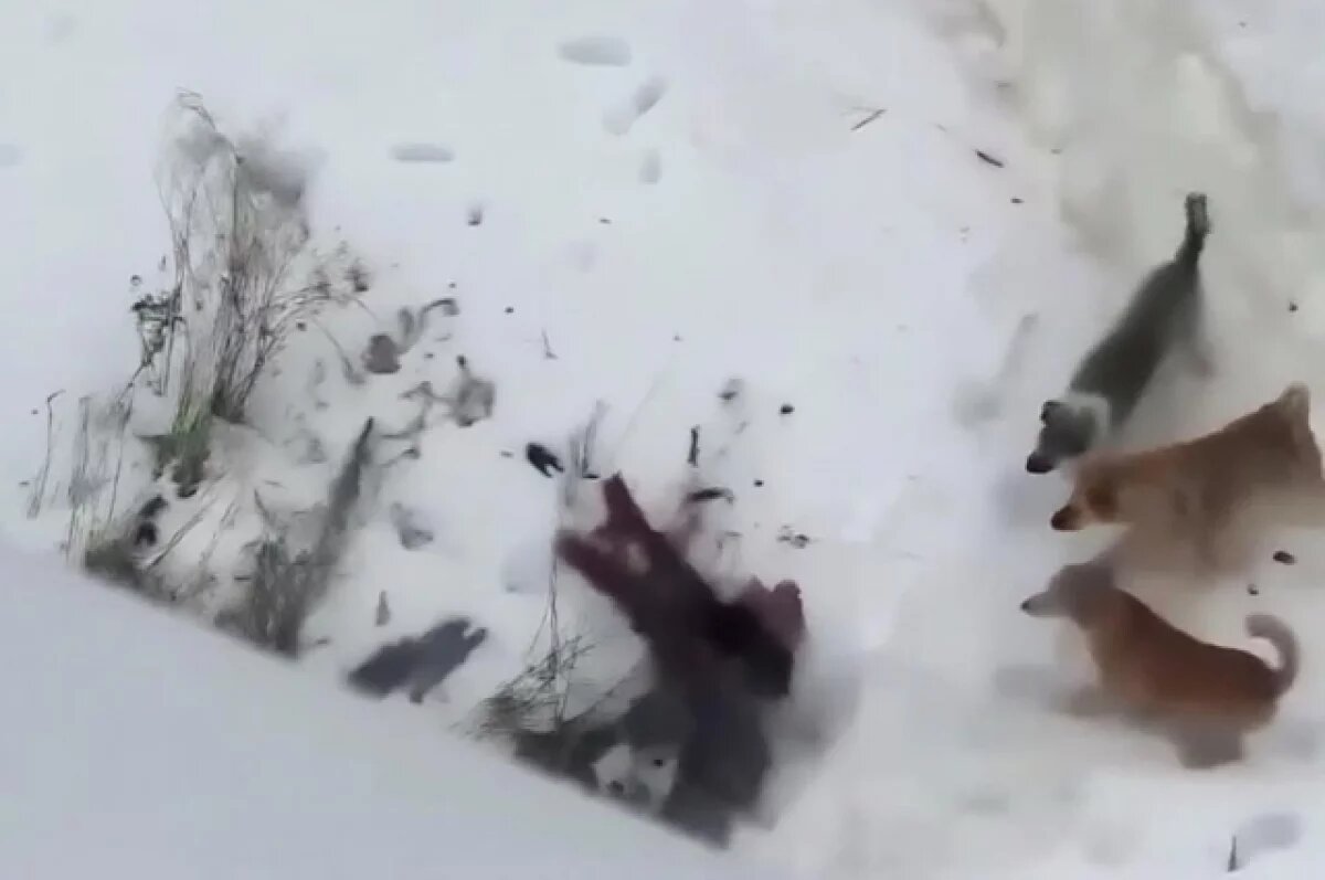    Упала и сжалась.