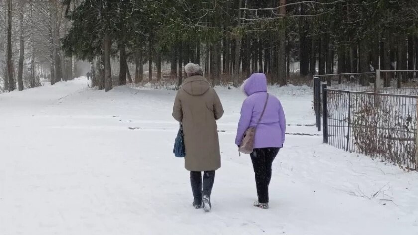 В Кировской области приняли закон о введении пониженных налоговых ставок