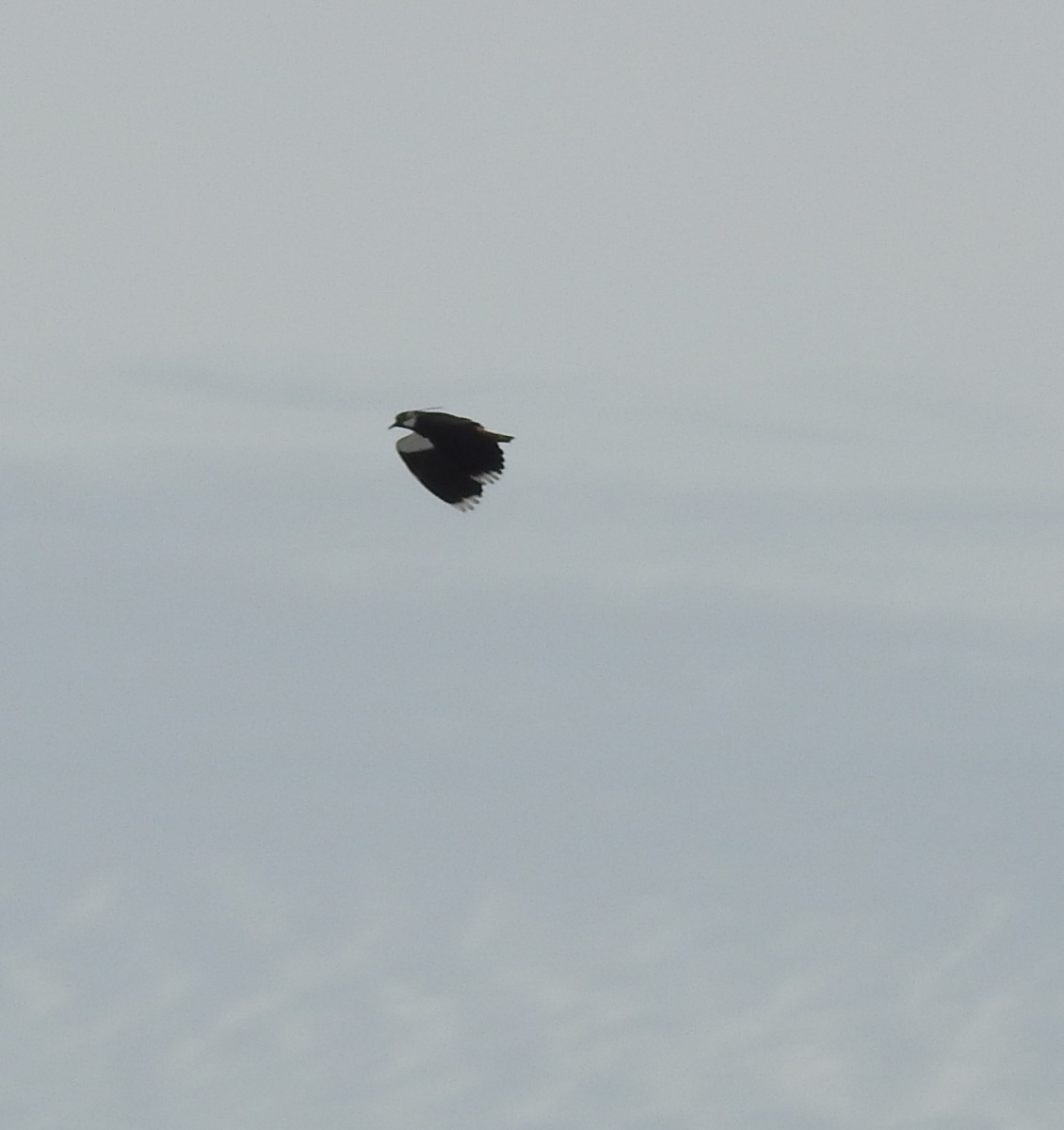 25 марта 2026, Екатеринбург