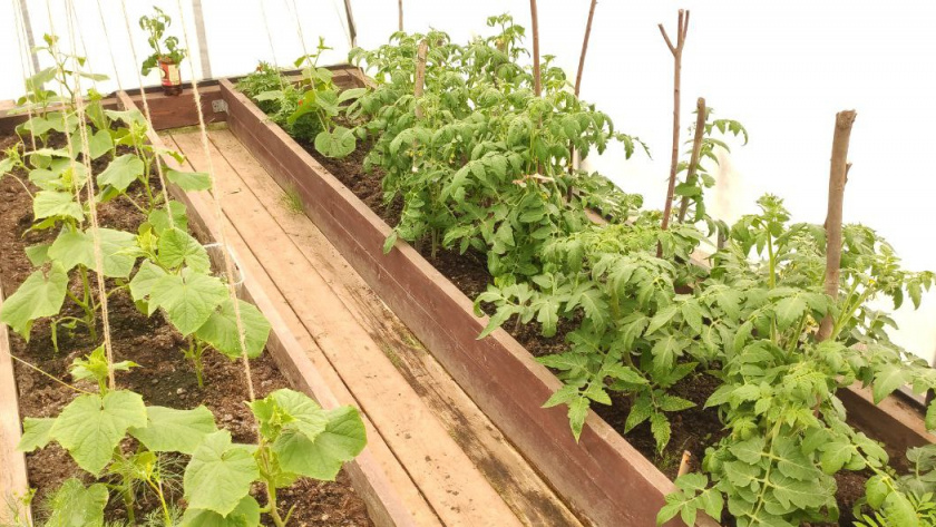    Автор фото - Анна Ефимова