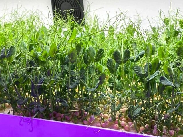    Фото: пресс-служба департамента предпринимательства и инновационного развития города Москвы