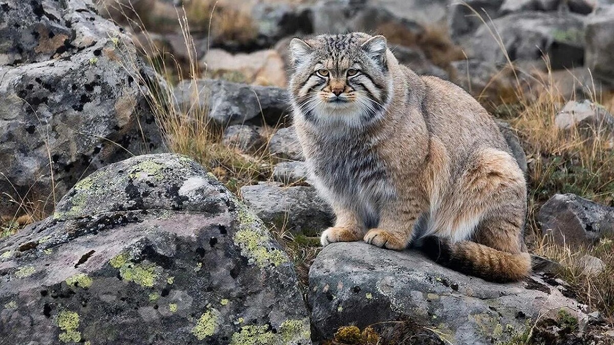    Изображение создано с помощью ИИ