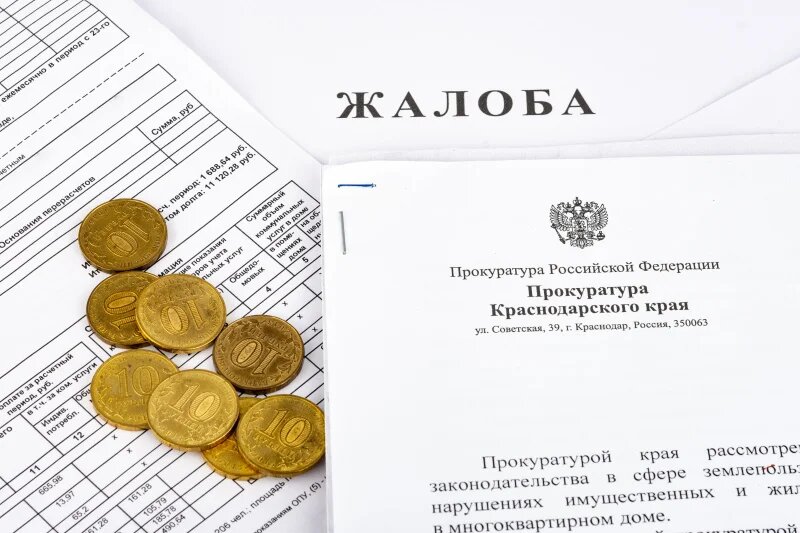 Shutterstock/FOTODOM