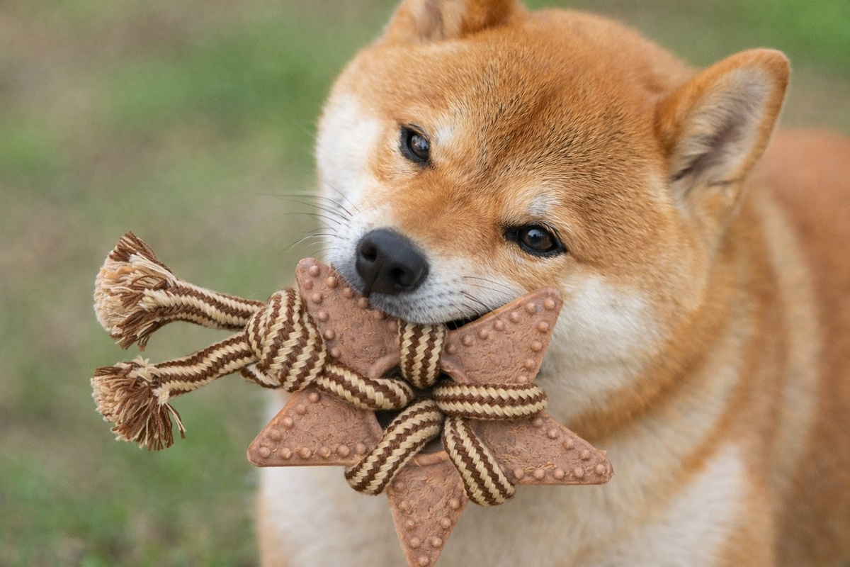 Игрушка Indigo канатики с древесным волокном