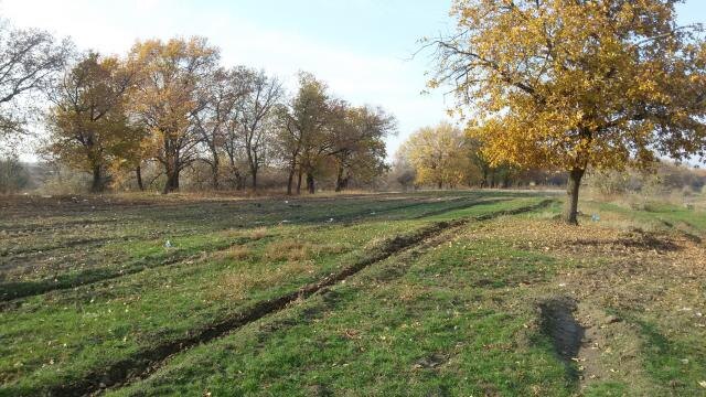 В Волгоградской области ликвидировали двести свалок