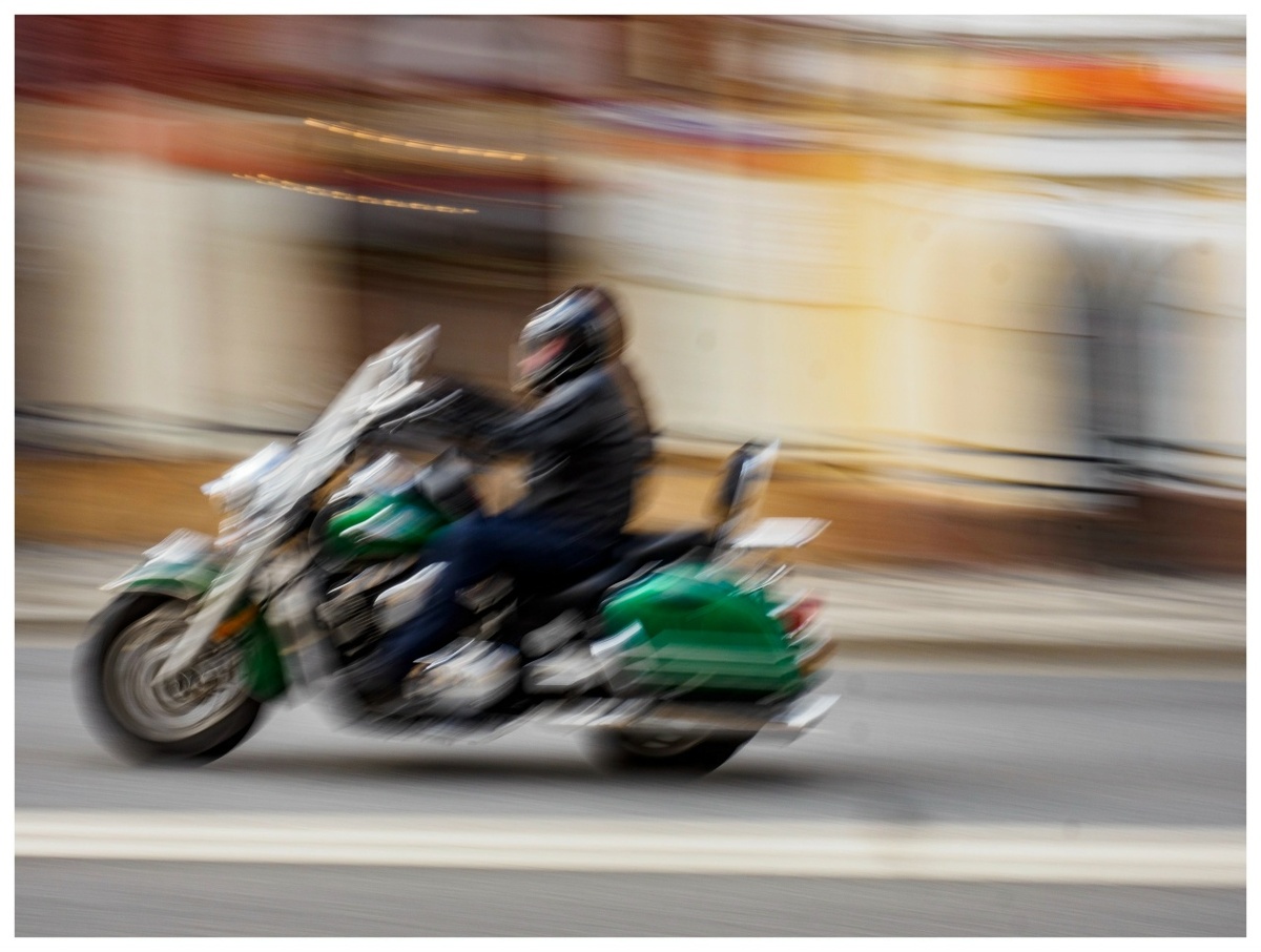    Фото: Александр Губарев Юра Белый