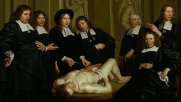 Фото из свободных источников.