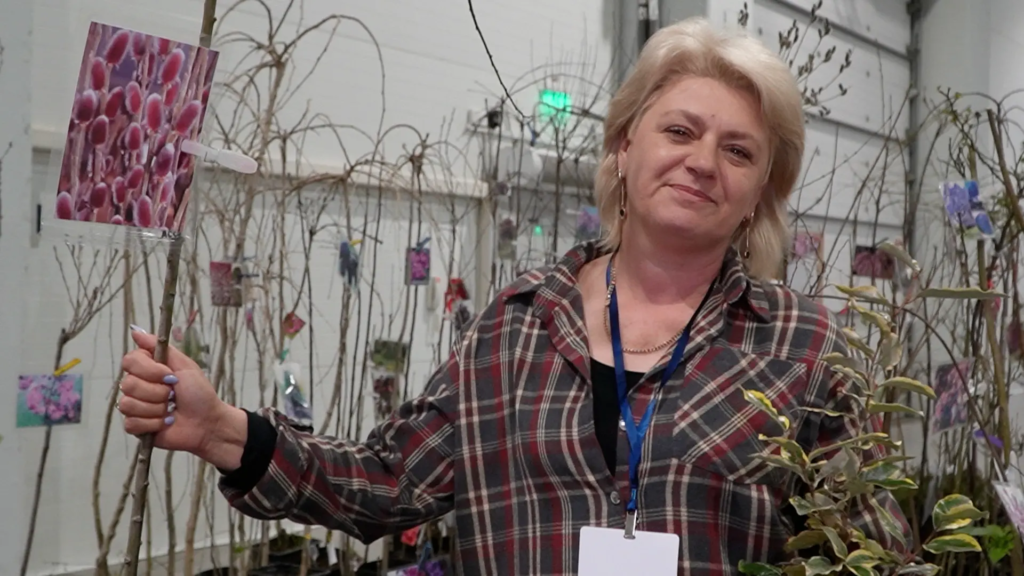    Хозяйка питомника растений "Олива" Наталья Пенжели-заде. Евгения Мажитова