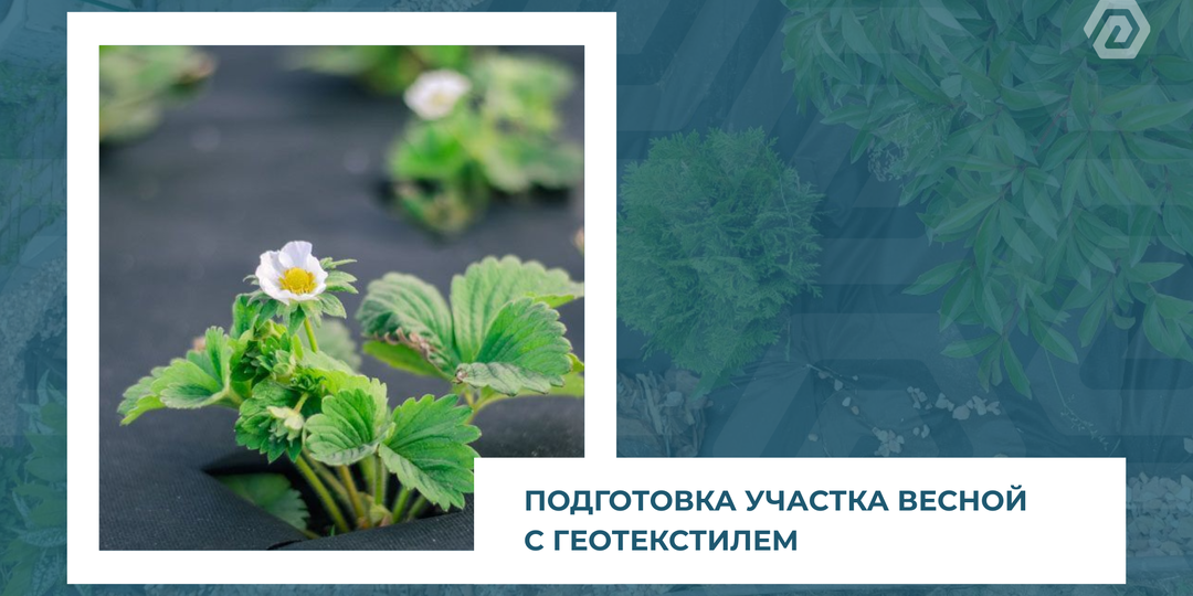 Подготовка участка весной: роль геотекстиля в обустройстве грядок и ландшафта.