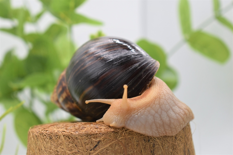 Фотография из интернета