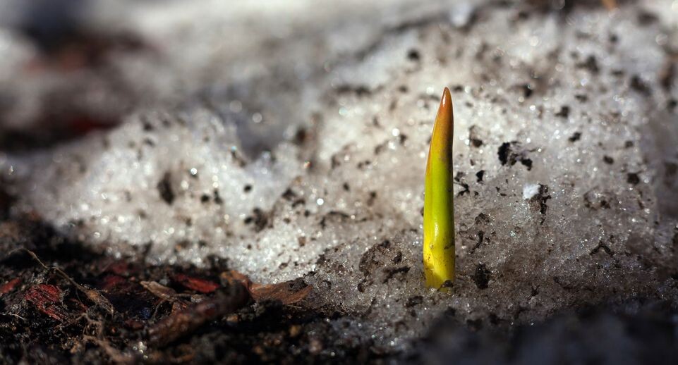    Медиасток.рф