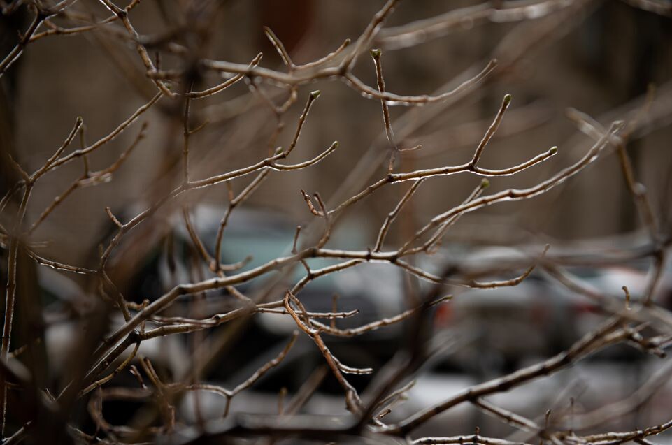    Медиасток.рф